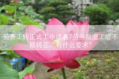 劳务工转正式工申请表?劳务派遣工能不能转正，有什么要求?