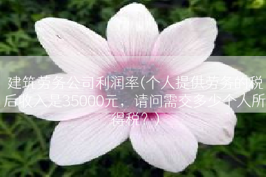 建筑劳务公司利润率(个人提供劳务的税后收入是35000元，请问需交多少个人所得税？)