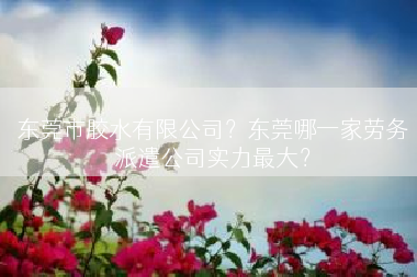 东莞市胶水有限公司？东莞哪一家劳务派遣公司实力最大？