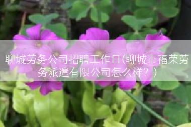 聊城劳务公司招聘工作日(聊城市福荣劳务派遣有限公司怎么样？)
