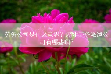 劳务公司是什么意思？湖北劳务派遣公司有哪些啊？