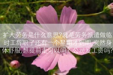 扩大劳务是什么意思?我是劳务派遣做临时工辞职了还有一个星期才到期,突然身体舒服,想提前走可以吗？公司发工资吗?