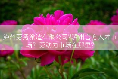泸州劳务派遣有限公司?泸州官方人才市场？劳动力市场在那里?