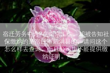 宿迁劳务中介?在南京工作，却被告知社保缴纳的是宿迁市泗洪县的，请问这个怎么样去查询，而且公司也不能提供缴纳证明。?