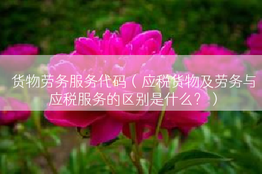 货物劳务服务代码（应税货物及劳务与应税服务的区别是什么？）
