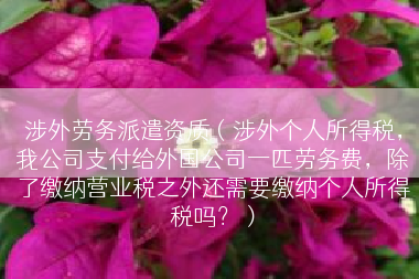 涉外劳务派遣资质（涉外个人所得税，我公司支付给外国公司一匹劳务费，除了缴纳营业税之外还需要缴纳个人所得税吗？）