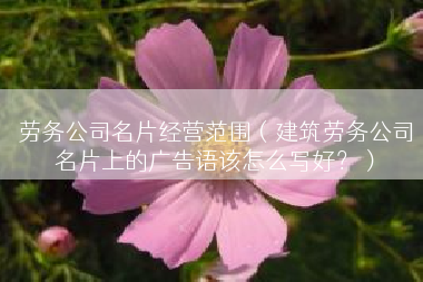 劳务公司名片经营范围（建筑劳务公司名片上的广告语该怎么写好？）