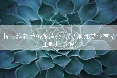 抚顺维新劳务派遣公司(抚顺那就业有招工呢地方吗)