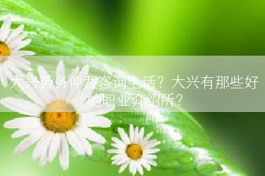 大兴劳务仲裁咨询电话？大兴有那些好的职业介绍所？