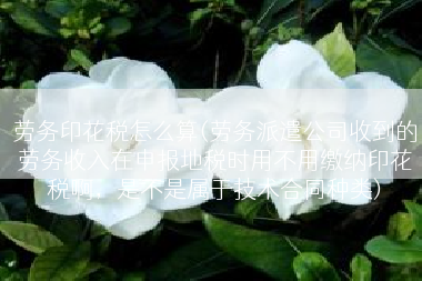 劳务印花税怎么算(劳务派遣公司收到的劳务收入在申报地税时用不用缴纳印花税啊，是不是属于技术合同种类)