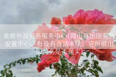 黄陂外派劳务服务中心(微山县出国劳务安置中心，有没有合法手续。它所说出国劳务是否属实)