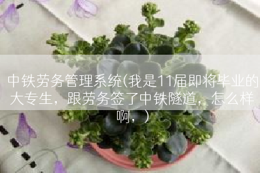 中铁劳务管理系统(我是11届即将毕业的大专生，跟劳务签了中铁隧道，怎么样啊，)