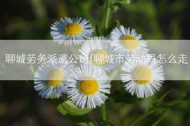 聊城劳务派遣公司(聊城市劳动局怎么走?)