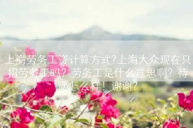 上海劳务工资计算方式?上海大众现在只招劳务工吗？劳务工是什么意思啊？待遇怎么样！谢谢?