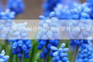 沈阳劳务市场价格(沈阳哪里有劳务市场)