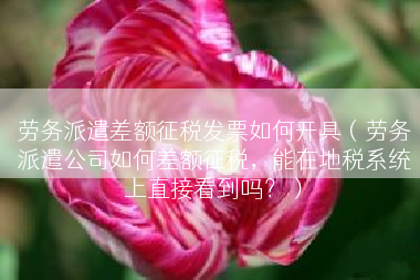 劳务派遣差额征税发票如何开具（劳务派遣公司如何差额征税，能在地税系统上直接看到吗？）