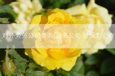对外劳务公司查询(劳务公司 社保怎么查)