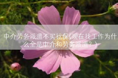 中介劳务派遣不买社保(现在找工作为什么全是中介和劳务派遣？)