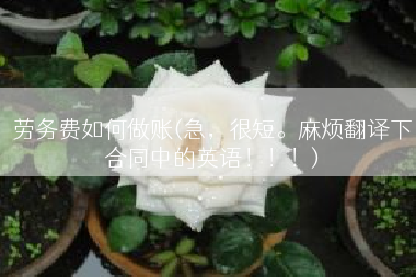 劳务费如何做账(急，很短。麻烦翻译下合同中的英语！！！)