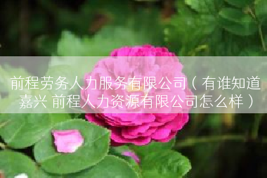 前程劳务人力服务有限公司（有谁知道嘉兴 前程人力资源有限公司怎么样）