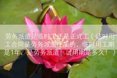 劳务派遣是临时工还是正式工（临时用工合同是劳务派遣性质的，临时用工期是1年，是劳务派遣！试用期是多久！）