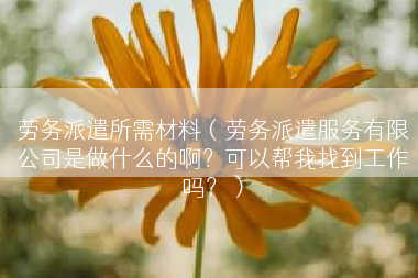 劳务派遣所需材料（劳务派遣服务有限公司是做什么的啊？可以帮我找到工作吗？）