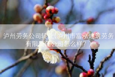 泸州劳务公司转让(泸州市富泓建筑劳务有限责任公司怎么样？)