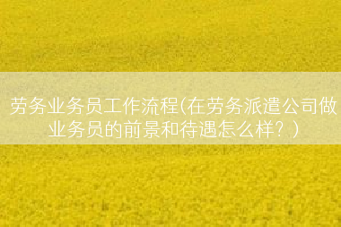 劳务业务员工作流程(在劳务派遣公司做业务员的前景和待遇怎么样？)
