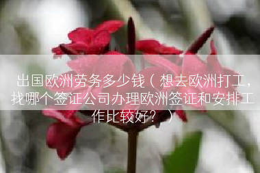 出国欧洲劳务多少钱（想去欧洲打工，找哪个签证公司办理欧洲签证和安排工作比较好？）
