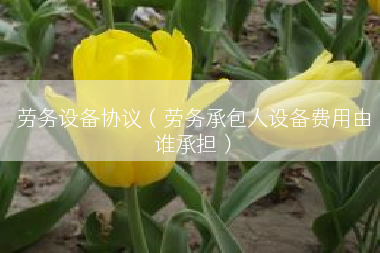 劳务设备协议（劳务承包人设备费用由谁承担）