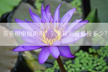 劳务税申报期限？劳务税到底是报多少？