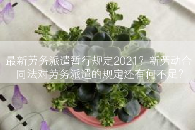 最新劳务派遣暂行规定2021？新劳动合同法对劳务派遣的规定还有何不足？