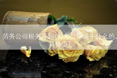 劳务公司税务筹划(劳务公司是干什么的，具体点)