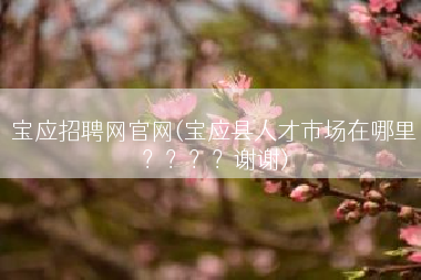宝应招聘网官网(宝应县人才市场在哪里？？？？谢谢)