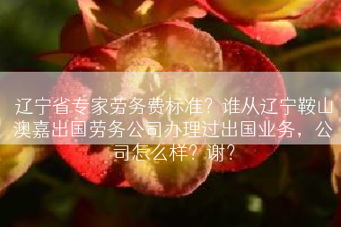 辽宁省专家劳务费标准？谁从辽宁鞍山澳嘉出国劳务公司办理过出国业务，公司怎么样？谢？