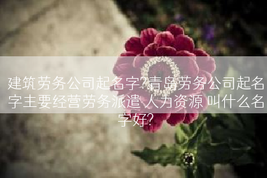 建筑劳务公司起名字?青岛劳务公司起名字主要经营劳务派遣 人力资源 叫什么名字好?