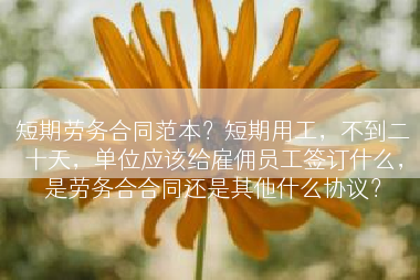 短期劳务合同范本？短期用工，不到二十天，单位应该给雇佣员工签订什么，是劳务合合同还是其他什么协议？