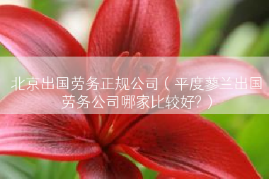 北京出国劳务正规公司（平度蓼兰出国劳务公司哪家比较好?）