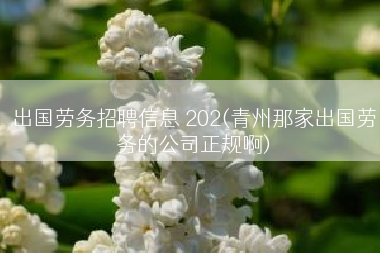 出国劳务招聘信息 202(青州那家出国劳务的公司正规啊)
