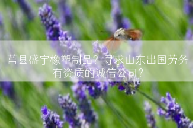 莒县盛宇橡塑制品？寻求山东出国劳务有资质的诚信公司？
