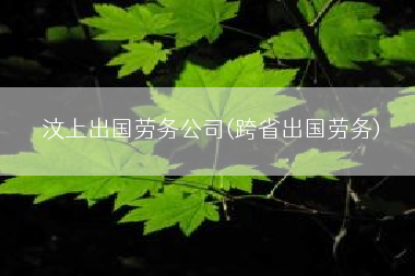 汶上出国劳务公司(跨省出国劳务)