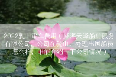 2022乳山审车费用（威海天泽船舶服务有限公司，公司在乳山，办理出国船员怎么样，谁能介绍一下公司情况）