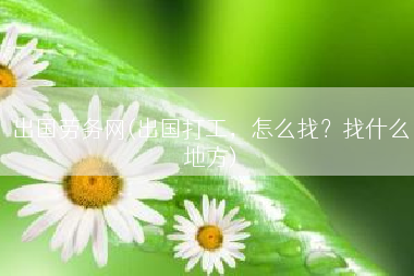 出国劳务网(出国打工，怎么找？找什么地方)