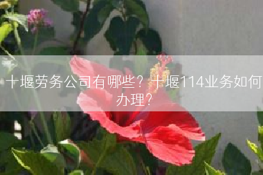 十堰劳务公司有哪些？十堰114业务如何办理？