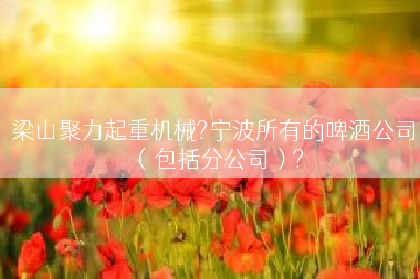 梁山聚力起重机械?宁波所有的啤酒公司（包括分公司）?