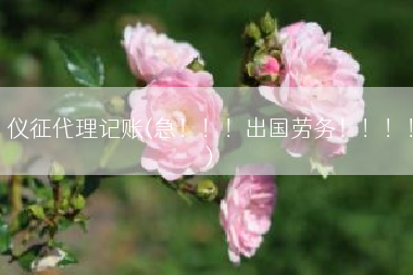 仪征代理记账(急！！！出国劳务！！！！)