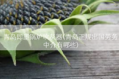 青岛即墨锅炉吹灰器(青岛正规出国劳务中介有哪些)