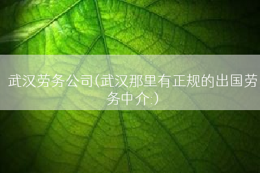 武汉劳务公司(武汉那里有正规的出国劳务中介:)
