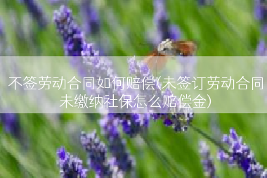 不签劳动合同如何赔偿(未签订劳动合同未缴纳社保怎么赔偿金)
