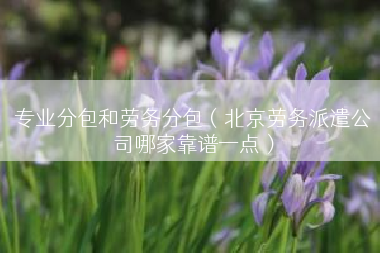 专业分包和劳务分包（北京劳务派遣公司哪家靠谱一点）